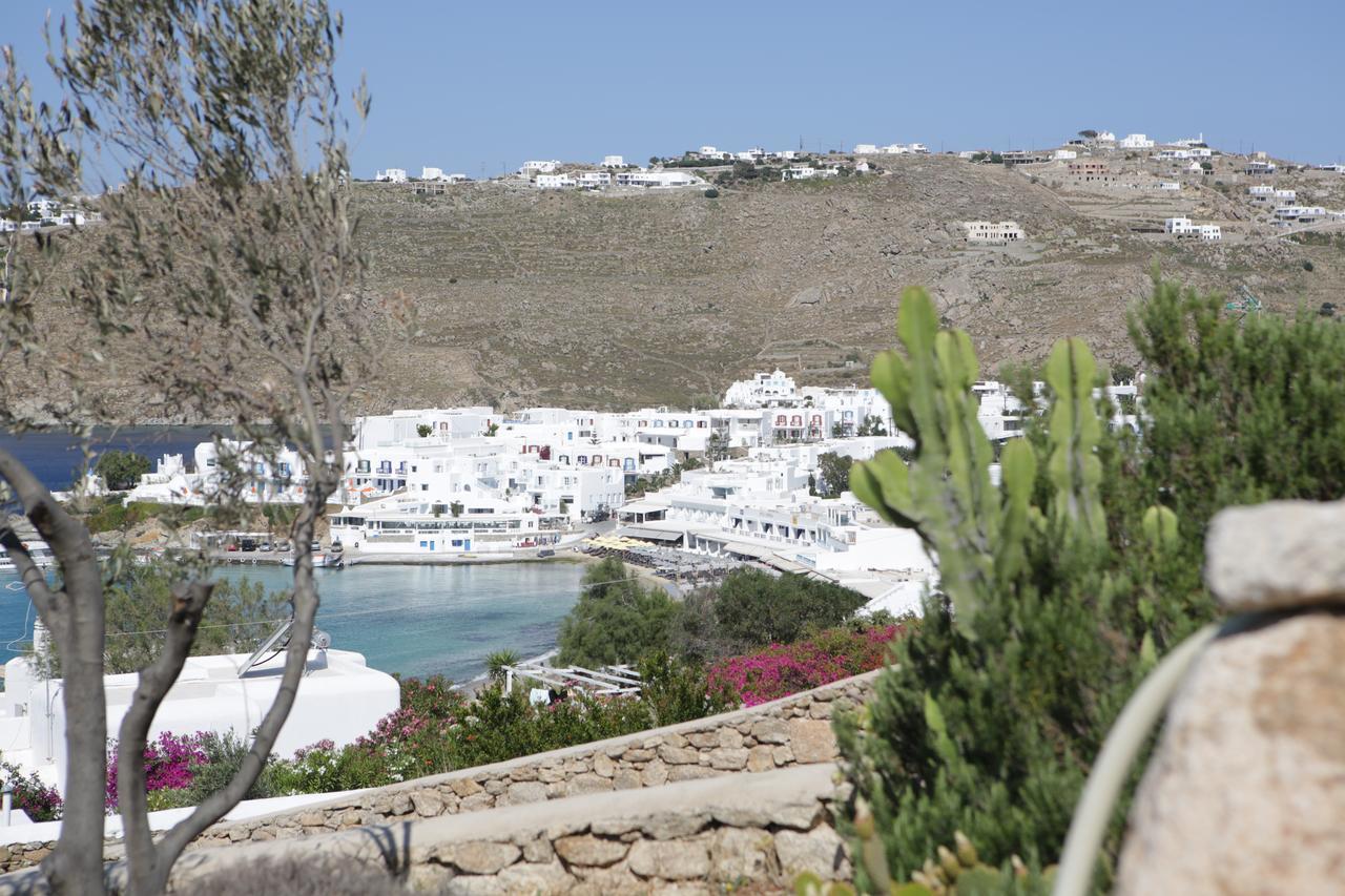 Seethrough Mykonos Suites (Adults Only) Platys Gialos  Exterior photo